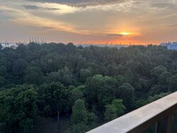 Normanton Park (D5), Apartment #574646761